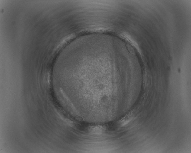 X0000067840115200604271629