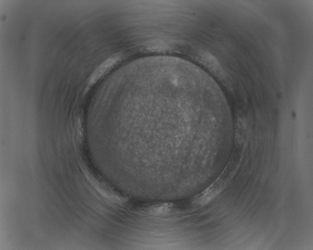 X0000067840116200604271629