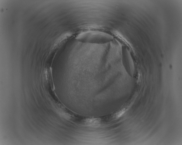 X0000067840117200604271629