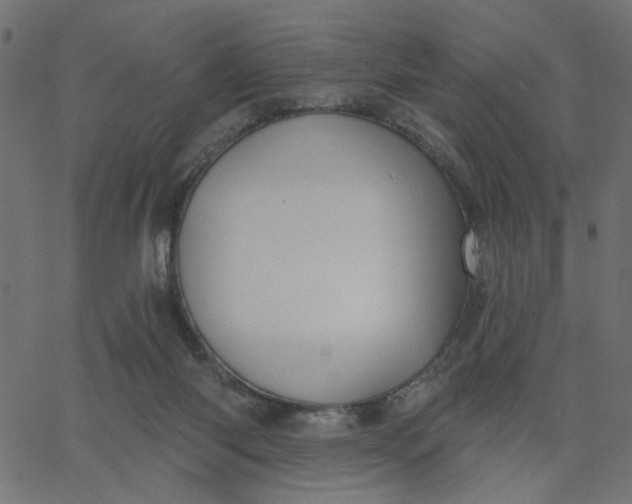 X0000067840118200604271629