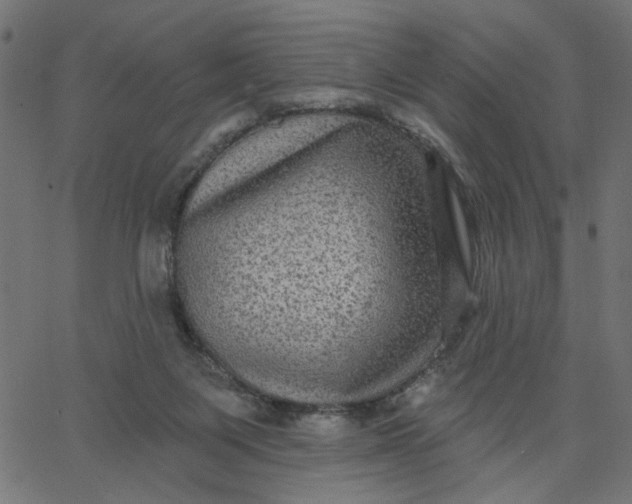 X0000067840119200604271629