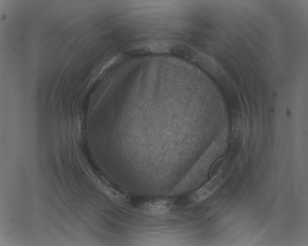 X0000067840120200604271629