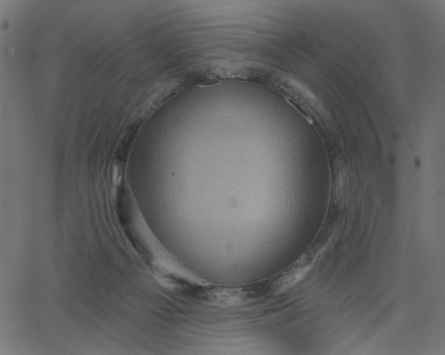 X0000067840121200604271629