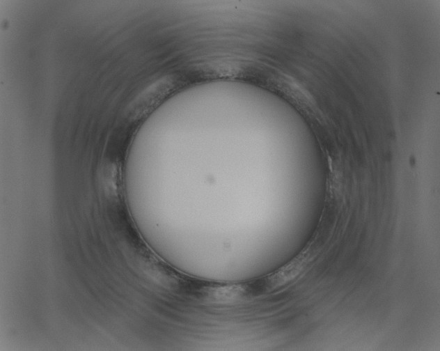 X0000067840122200604271629