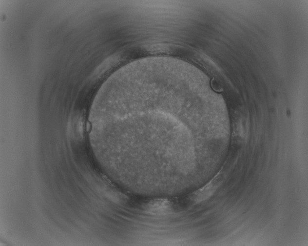 X0000067840124200604271629