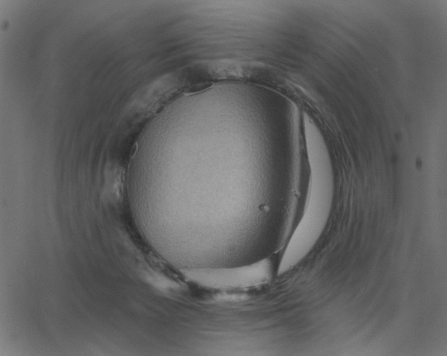 X0000067840125200604271629