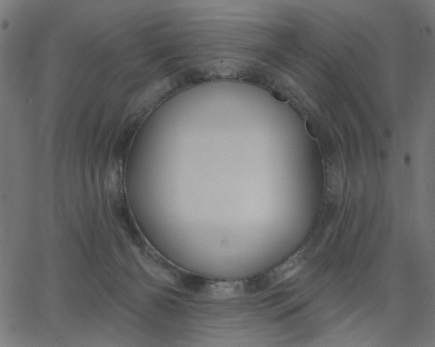 X0000067840126200604271629