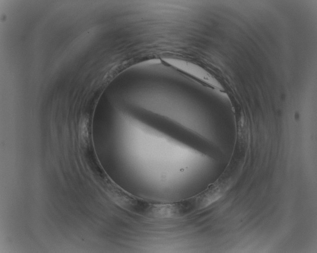 X0000067840127200604271629