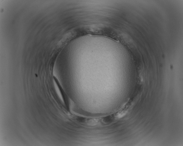 X0000067840129200604271629