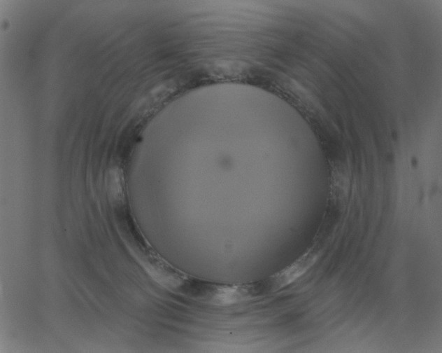 X0000067840130200604271629