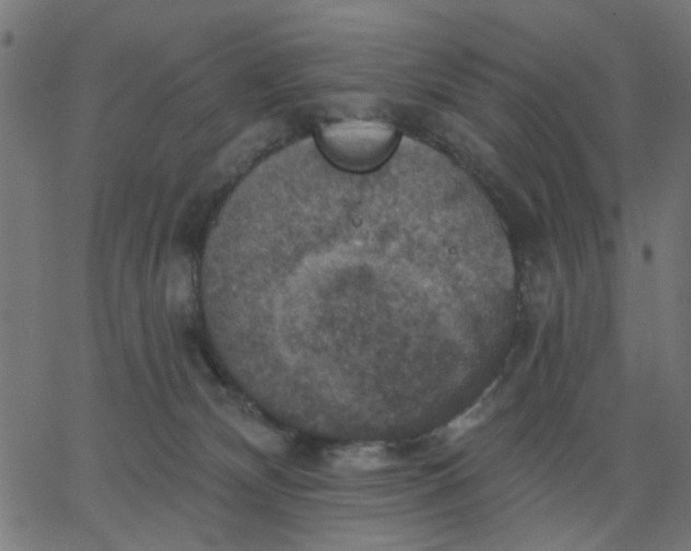 X0000067840132200604271629