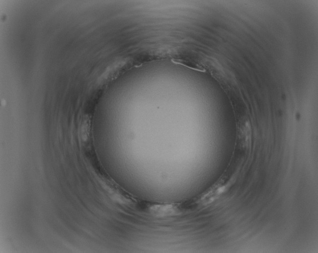 X0000067840133200604271629