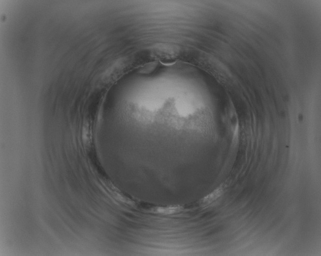 X0000067840134200604271629