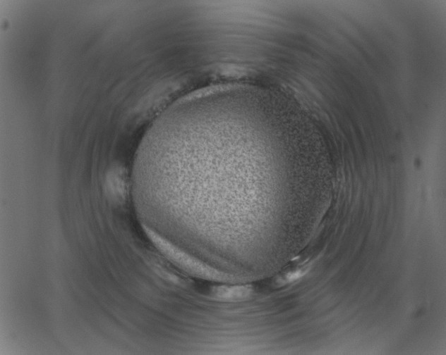 X0000067840135200604271629