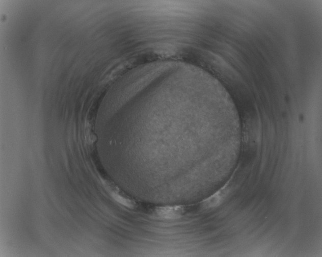 X0000067840136200604271629