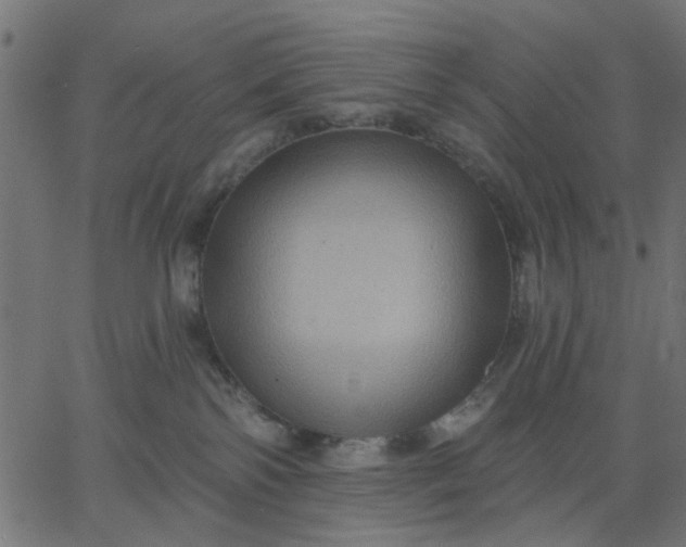 X0000067840138200604271629