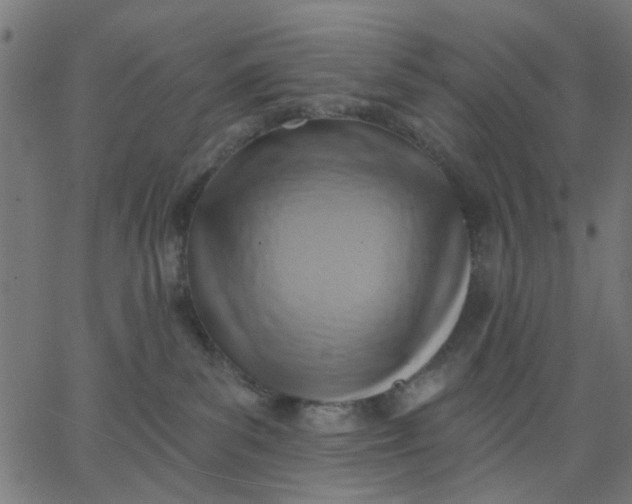 X0000067840139200604271629