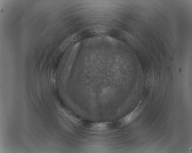 X0000067840140200604271629