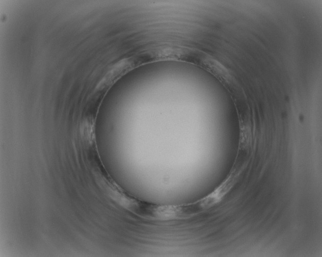 X0000067840142200604271629