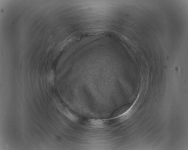 X0000067840144200604271629