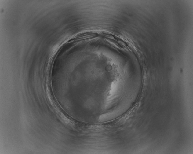 X0000067840145200604271628