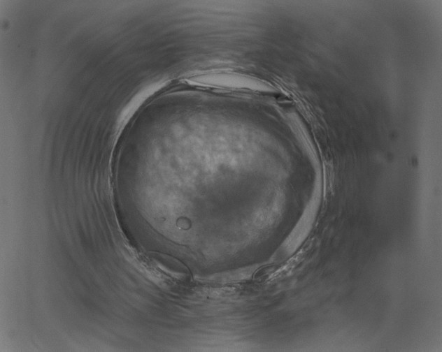 X0000067840147200604271628