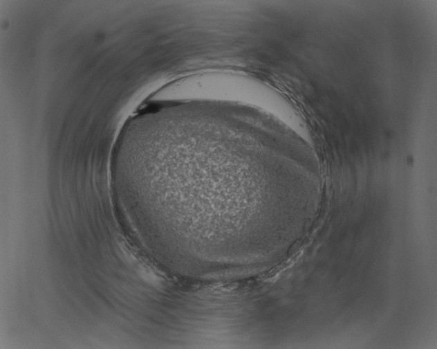 X0000067840148200604271628