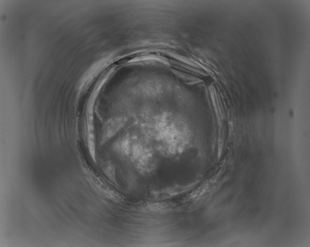 X0000067840149200604271628