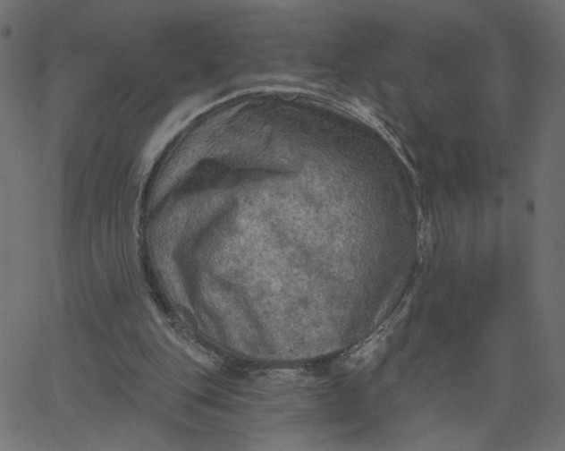 X0000067840151200604271628