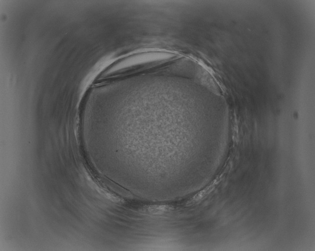 X0000067840152200604271628