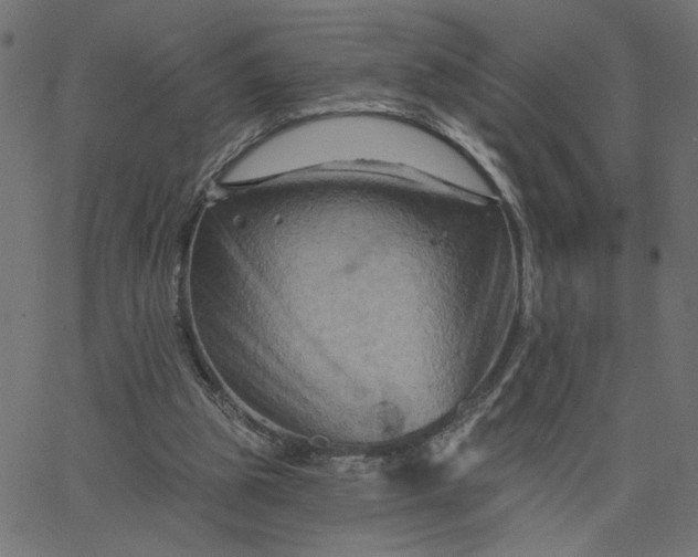 X0000067840153200604271628