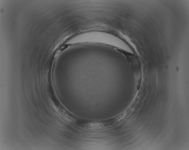 X0000067840154200604271628