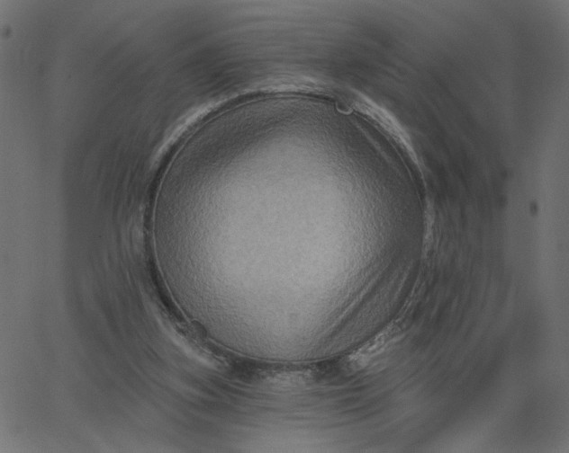 X0000067840155200604271628