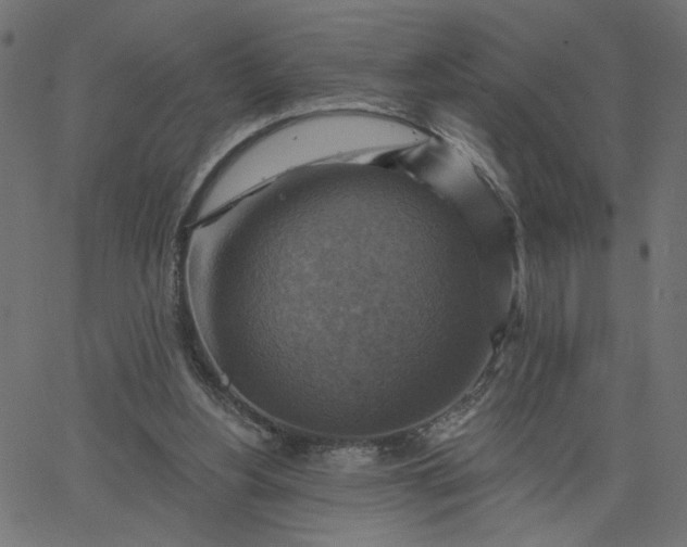 X0000067840156200604271628