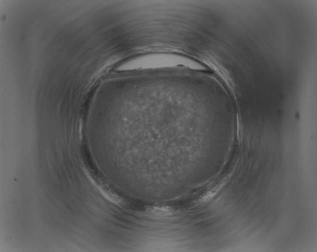 X0000067840157200604271628