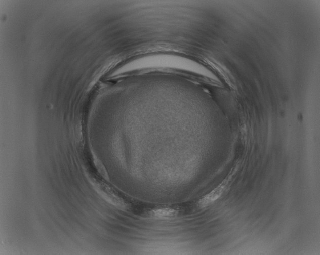 X0000067840158200604271628