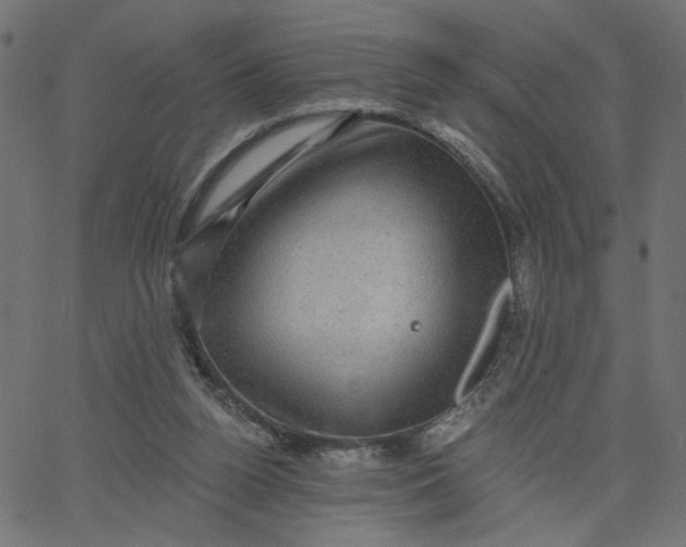 X0000067840160200604271628