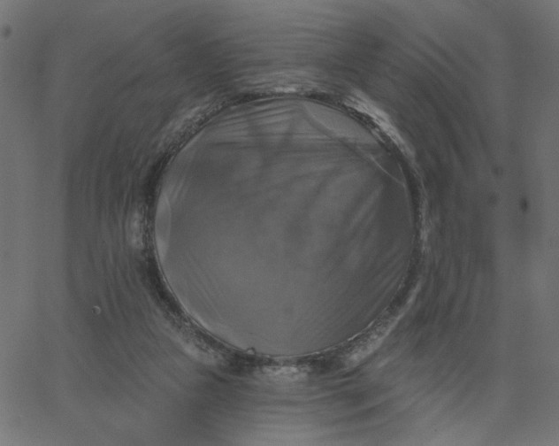 X0000067840161200604271628