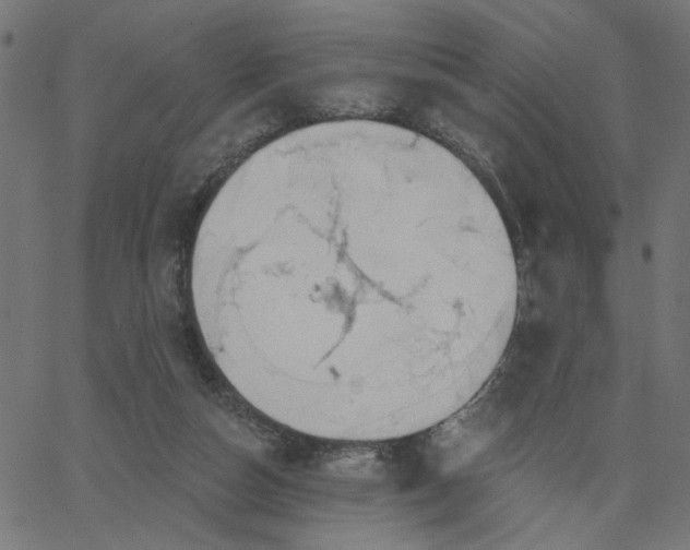 X0000067840162200604271628