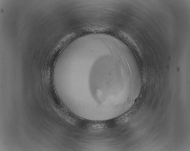 X0000067840163200604271628