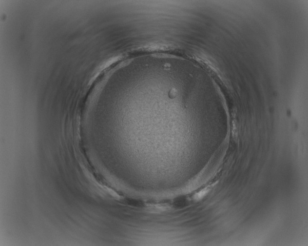 X0000067840164200604271628