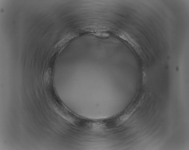 X0000067840165200604271628