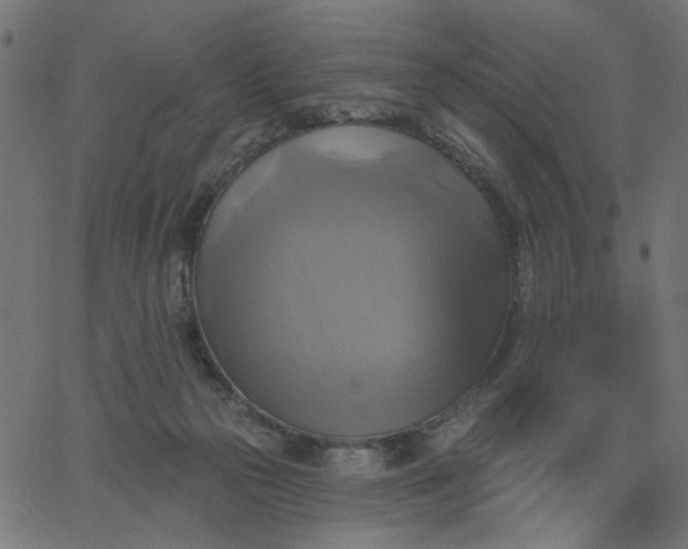 X0000067840169200604271629