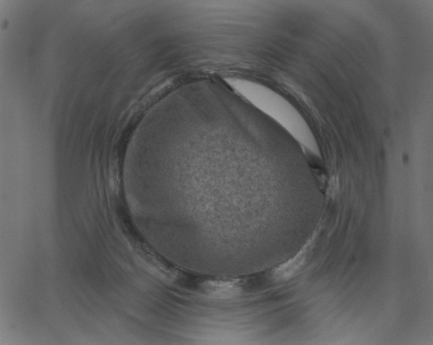 X0000067840170200604271629