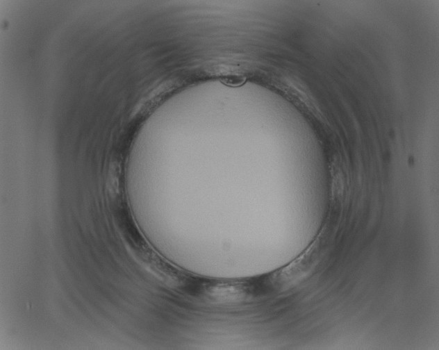 X0000067840171200604271629