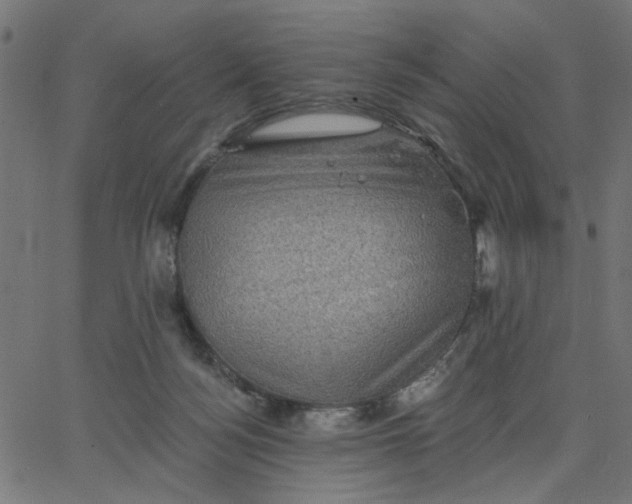 X0000067840172200604271629