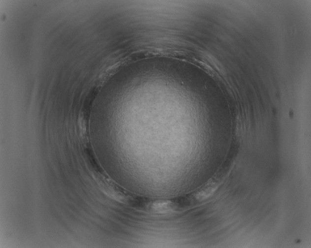 X0000067840173200604271629