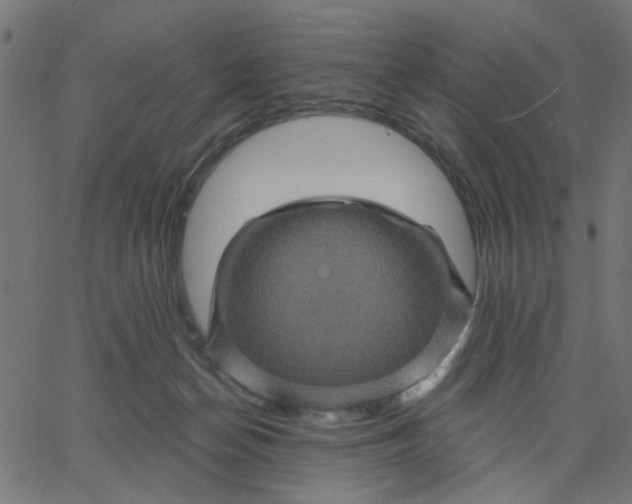 X0000067840174200604271629