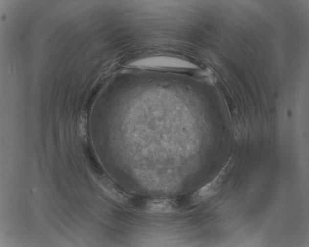 X0000067840175200604271629