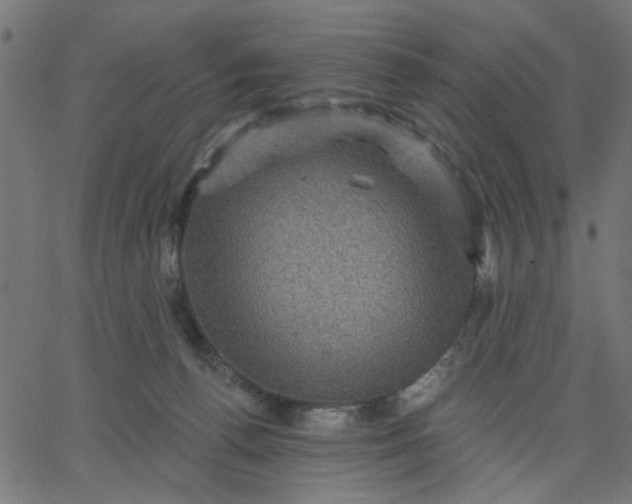 X0000067840176200604271629